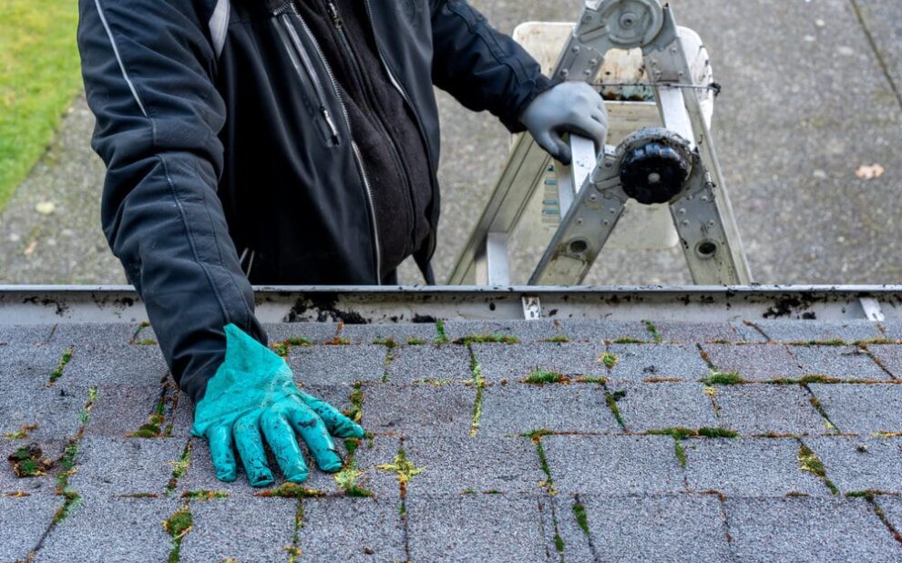Roof Maintenance needed for moss removal