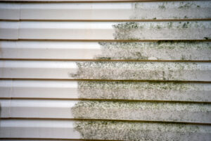 Siding with close up of mold on siding