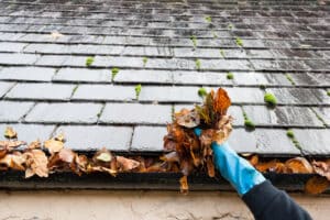 Roof Maintenance, Gutters need to be cleaned.