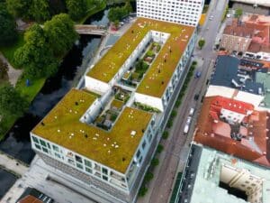 Eco-Friendly Commercial Roofing. Roof with grass on top.