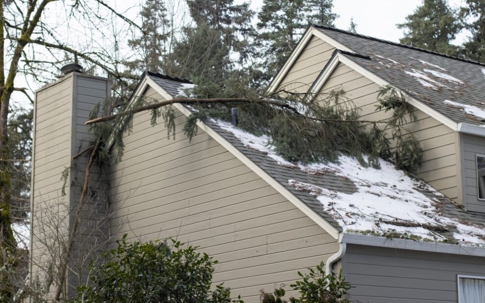 Roofing Contractors. Fallen tree branches on the roof of a residential building after severe winter snow storm.