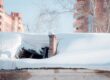 How Ottawa’s Harsh Winters Affect Your Roof and What To Do About It. The roof collapsed under the weight of snow. Damaged falling roof and chimney on sunny day with clear blue sky.