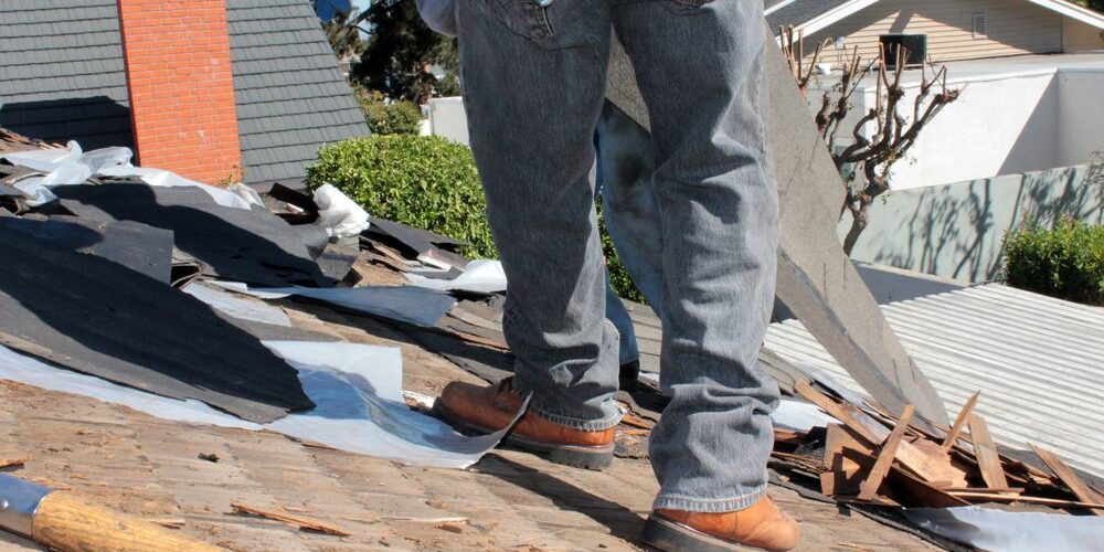The Ottawa Homeowner's Guide to Long-Term Roof Health: Beyond the Spring Repair. Removal of an Old Asphalt Single roof that the owner waited too long after a roof leak.