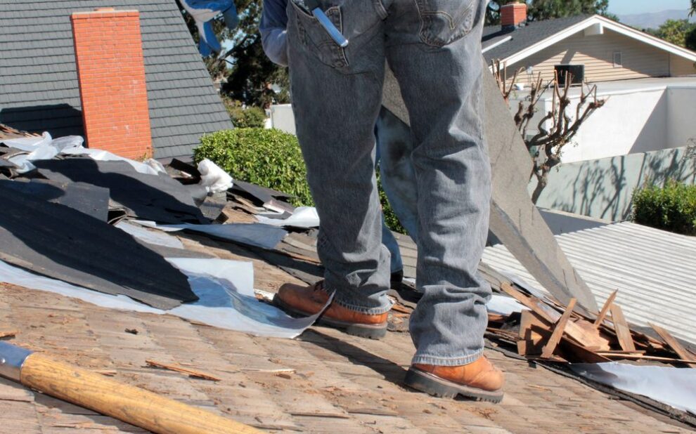 The Ottawa Homeowner's Guide to Long-Term Roof Health: Beyond the Spring Repair. Removal of an Old Asphalt Single roof that the owner waited too long after a roof leak.